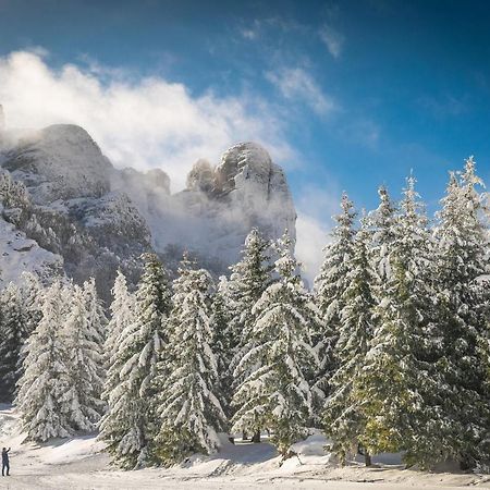 Seosko Domacinstvo „Gabar” Villa Custica Luaran gambar