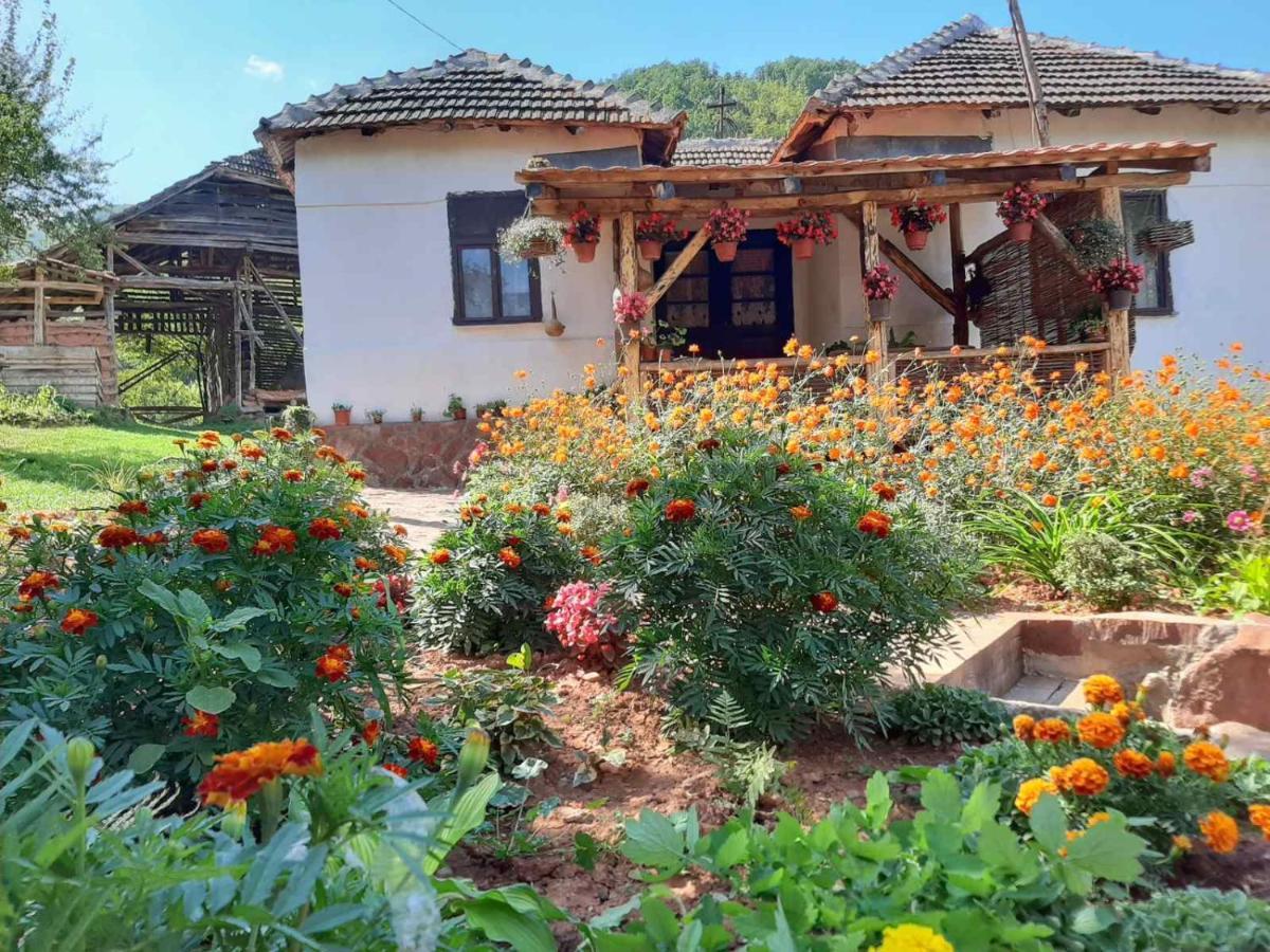 Seosko Domacinstvo „Gabar” Villa Custica Luaran gambar