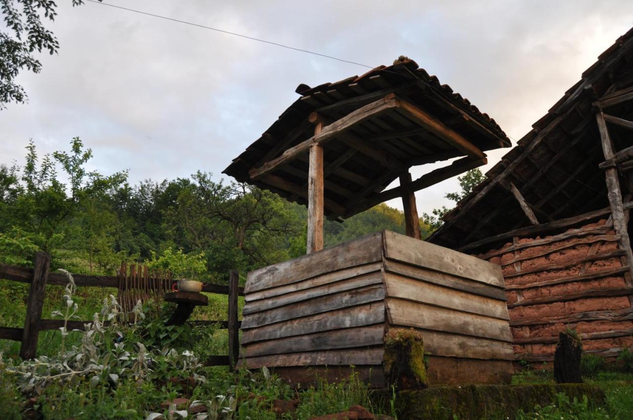 Seosko Domacinstvo „Gabar” Villa Custica Luaran gambar
