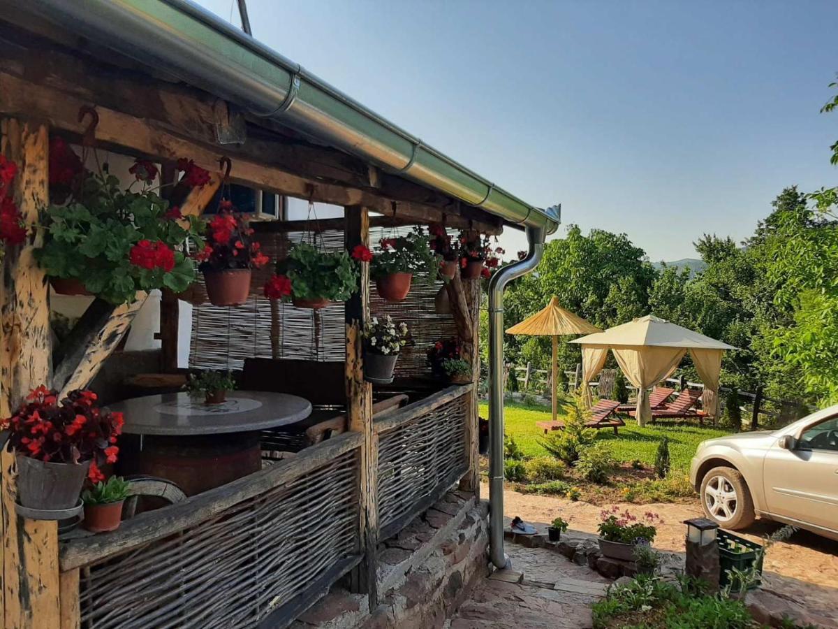 Seosko Domacinstvo „Gabar” Villa Custica Luaran gambar
