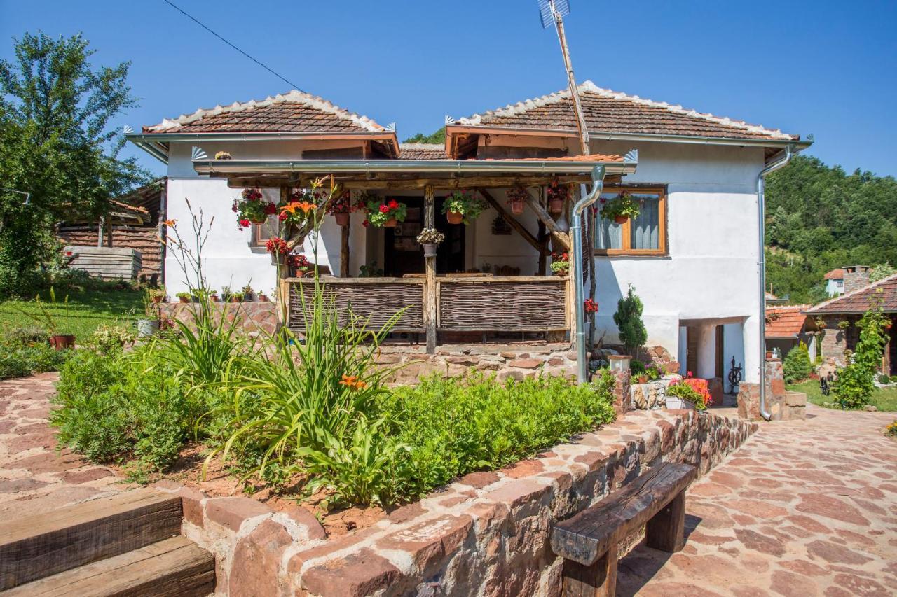 Seosko Domacinstvo „Gabar” Villa Custica Luaran gambar
