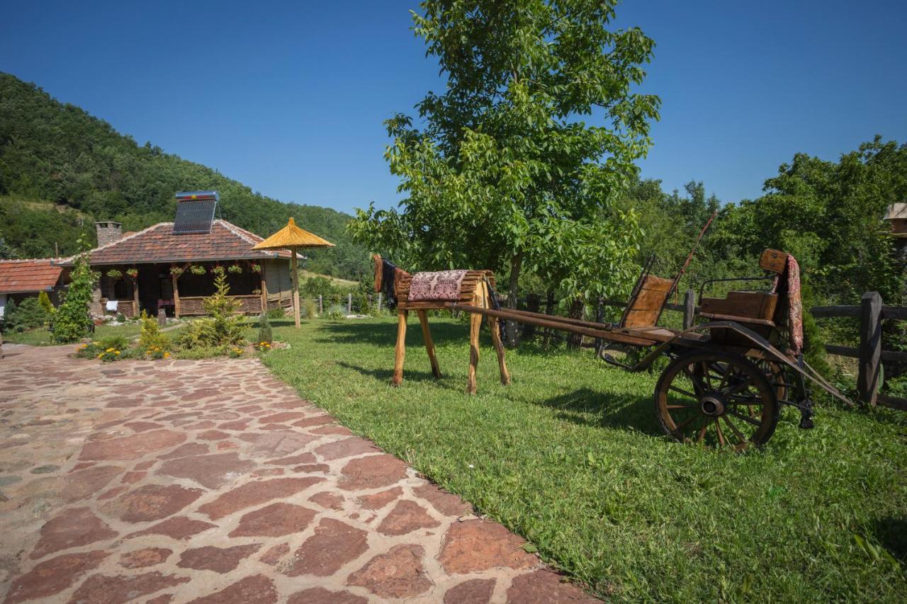 Seosko Domacinstvo „Gabar” Villa Custica Luaran gambar
