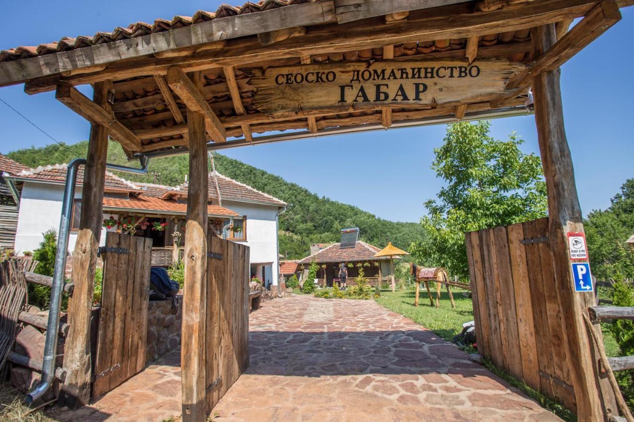 Seosko Domacinstvo „Gabar” Villa Custica Luaran gambar