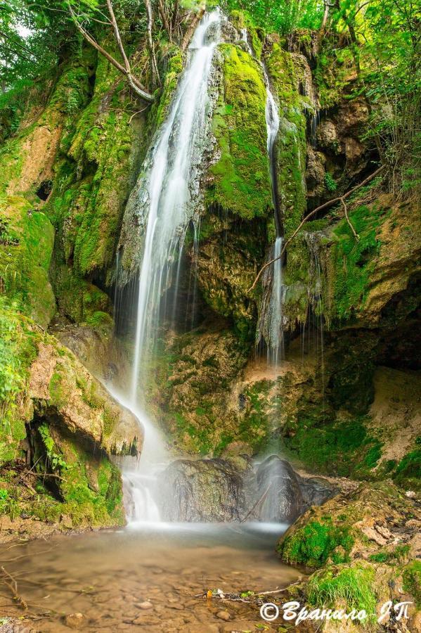 Seosko Domacinstvo „Gabar” Villa Custica Luaran gambar